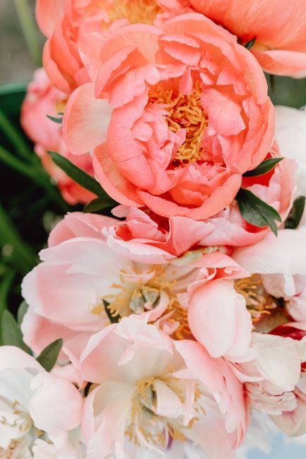 Close-up of vibrant peonies showcasing delicate petals and rich colors, perfect for floral decor.
