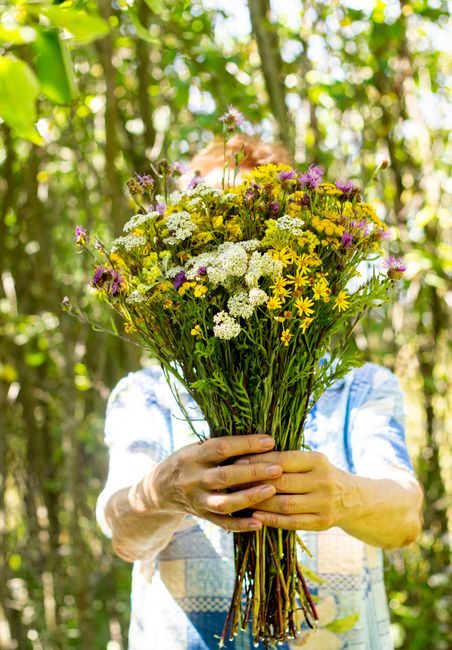 A person holds a colorful wildflower bouquet outdoors, showcasing nature's beauty in vivid sunlight.