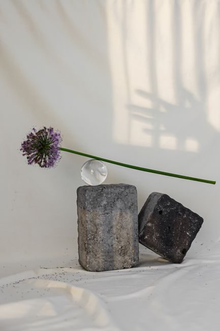 Allium flower balanced on stones with a glass ball, creating a minimalist artistic scene.