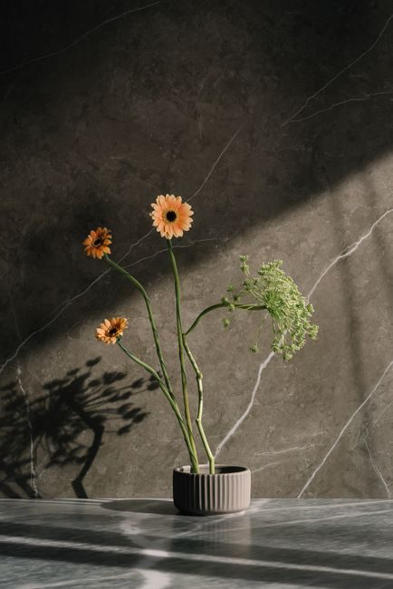 A minimalist still life of gerbera flowers in a vase against a marble backdrop.