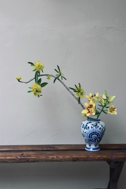A minimalist floral arrangement with yellow blooms in a classic blue and white vase on a wooden table.