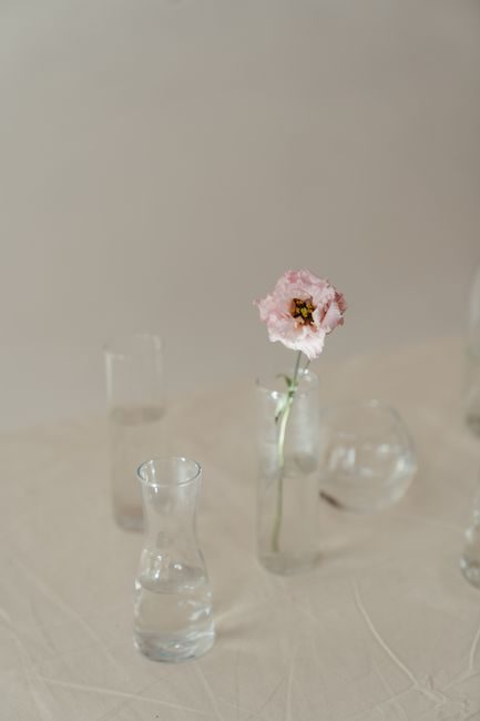 A single pink eustoma flower in a glass vase, set against a soft background for a minimalist and elegant look.