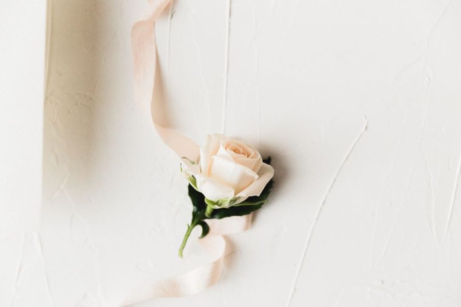 A delicate white rose paired with a ribbon on a light textured background.